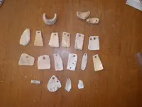 IMGP7384.webp