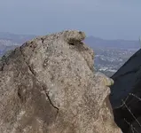 rock1.webp