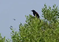 DSC00722.webp