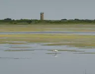 DSC00712.webp