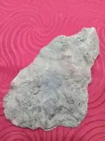 20230726_072718.webp