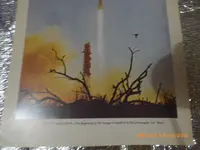Space Prints 019.webp