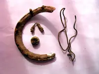 Field_Finds_07.26.23 (1).webp