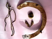 Field_Finds_07.26.23 (2).webp