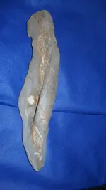 DSCN0305.webp