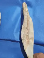 hobkn5.webp