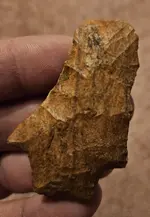 20230729_232322.webp