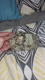 20230730_195049.webp