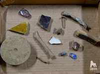 P1000739_WM.webp