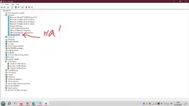 owned.webp