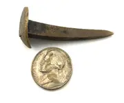 Finds 24 Aug 2017 Galveston.webp