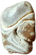 Screenshot_20230805_144018_Photo Editor.webp