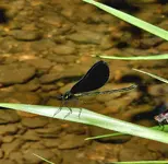 20230819_100617.webp
