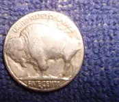 10-17-08 011Buff.webp