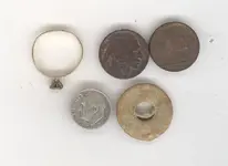 finds.webp
