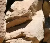 bust of man.jpg......webp