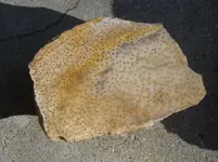 DSCN0123.webp