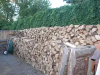 woodpile_003 A.webp