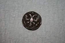 coin 1 back.webp