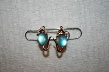 earrings.webp