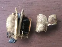 pod1 (Small).webp