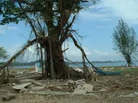 aceh12.webp