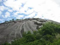 enchantedparkdome2.webp