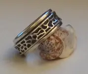 silver spinner.webp