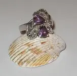 huge silver.webp