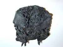 DSC01306a.webp
