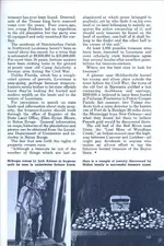 page2.webp