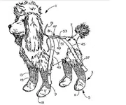 Poodle Feet.webp Poodle Feet.webp
