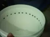 th_dam012.webp