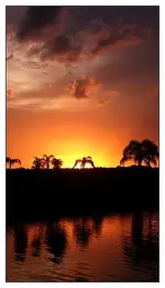 450696161_d7511768de.webp