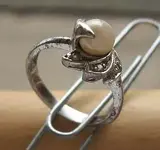 ring_082608.webp