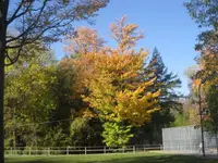 color .webp