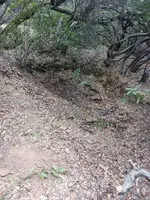20230820_123207.webp