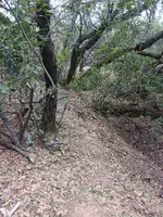 20230820_123212.webp