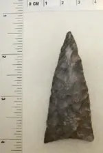 TX1218b.webp