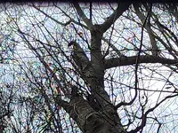 20221106_110309.webp
