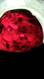 20230828_053132.webp