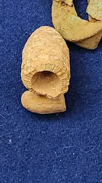 20230828_053850.webp