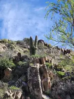 20230422_091025.webp