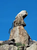 side profile.webp