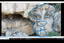 lion face.webp