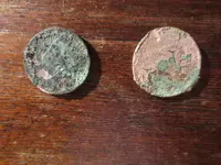 Small coppers 083123.webp Small coppers 083123.webp