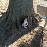 20230902_173523.webp