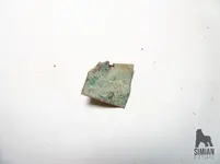 P1000850_WM.webp