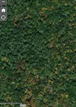 BF6649EF-EDB0-4CE0-834E-4AABD36C6570.webp