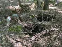 oldstill (1)small.webp